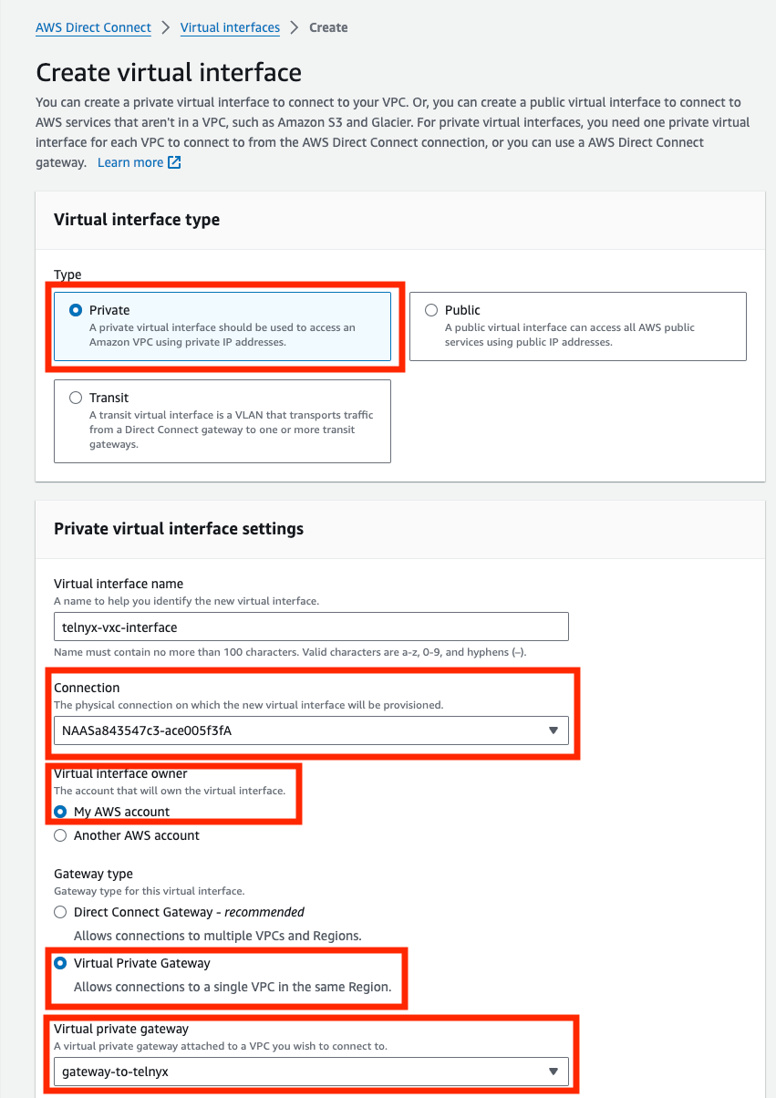 AWS Virtual Interface 1